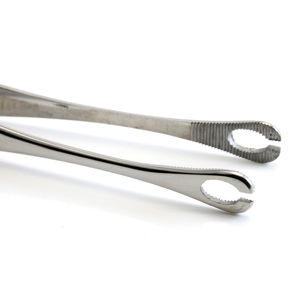 Mini Sponge Tweezers with Slot