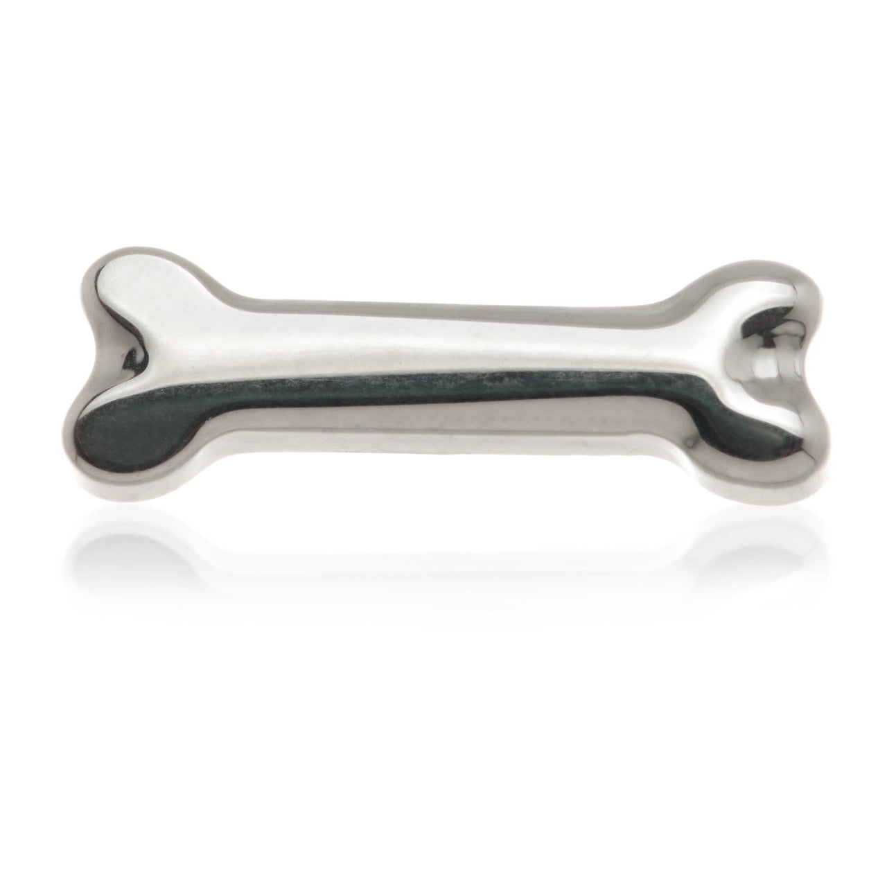 Ti Internal Thread Bone Attachment