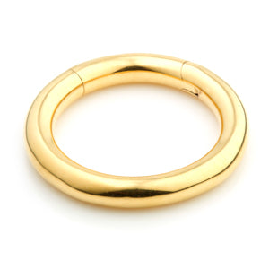 24ct Gold PVD Steel Hinge Segment Ring - 4mm
