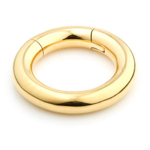 24ct Gold PVD Steel Hinge Segment Ring - 5mm