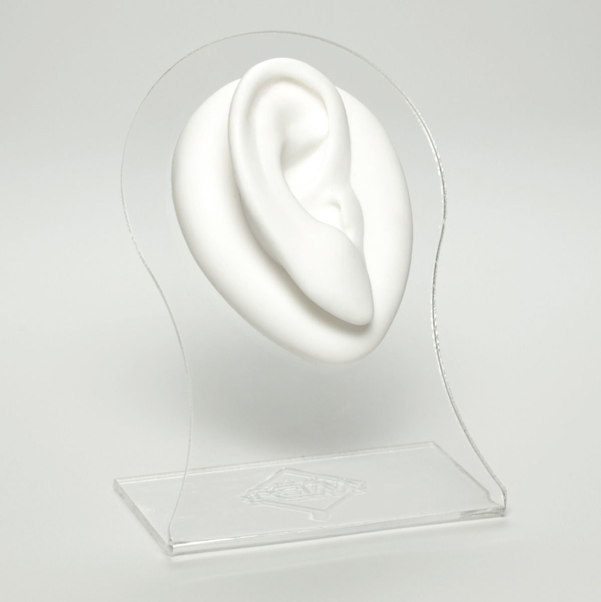 Silicone Body Part - Ear 2