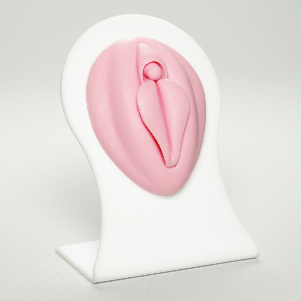 Silicone Body Part - Female Genital