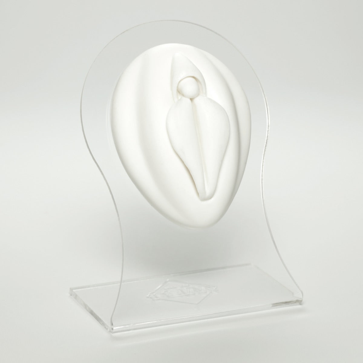 Silicone Body Part - Female Genital