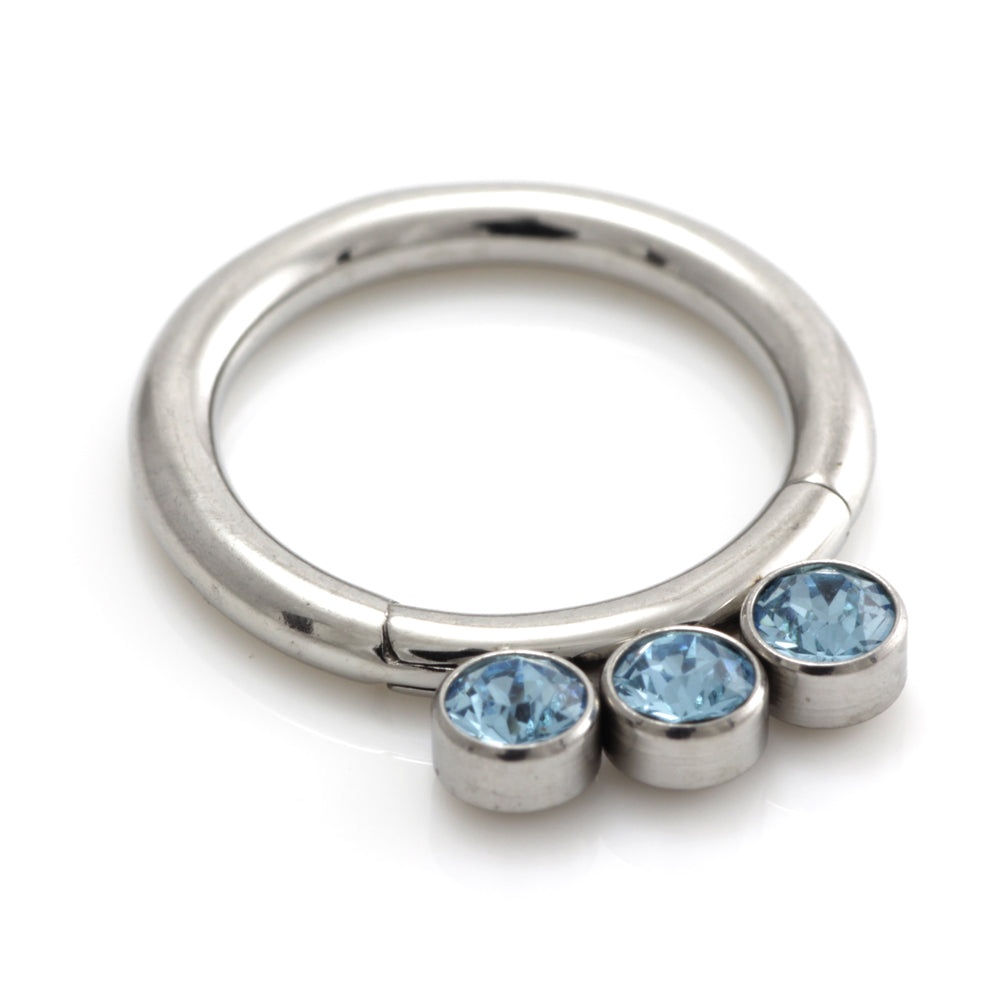 Steel Jewel Hinged Segment Ring