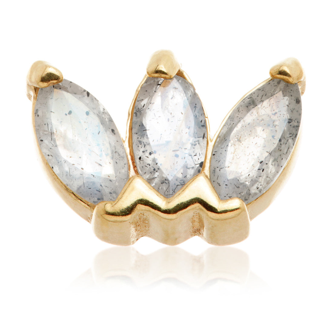 TL - 14ct Gold Internal Triple Marquise Labradorite Attachment