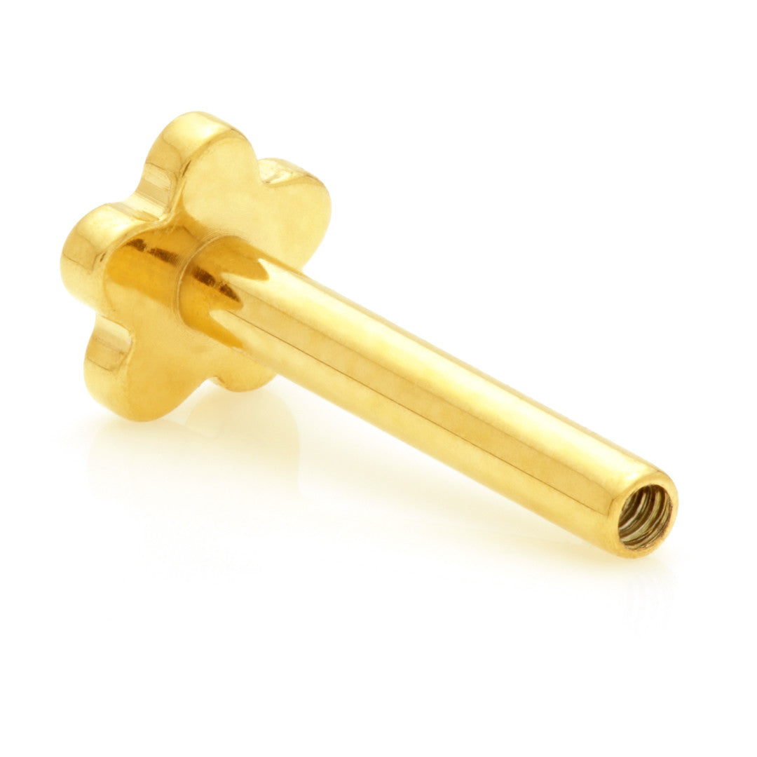 TL - Zircon Gold Ti Threadless Labret Stem with Flower Base