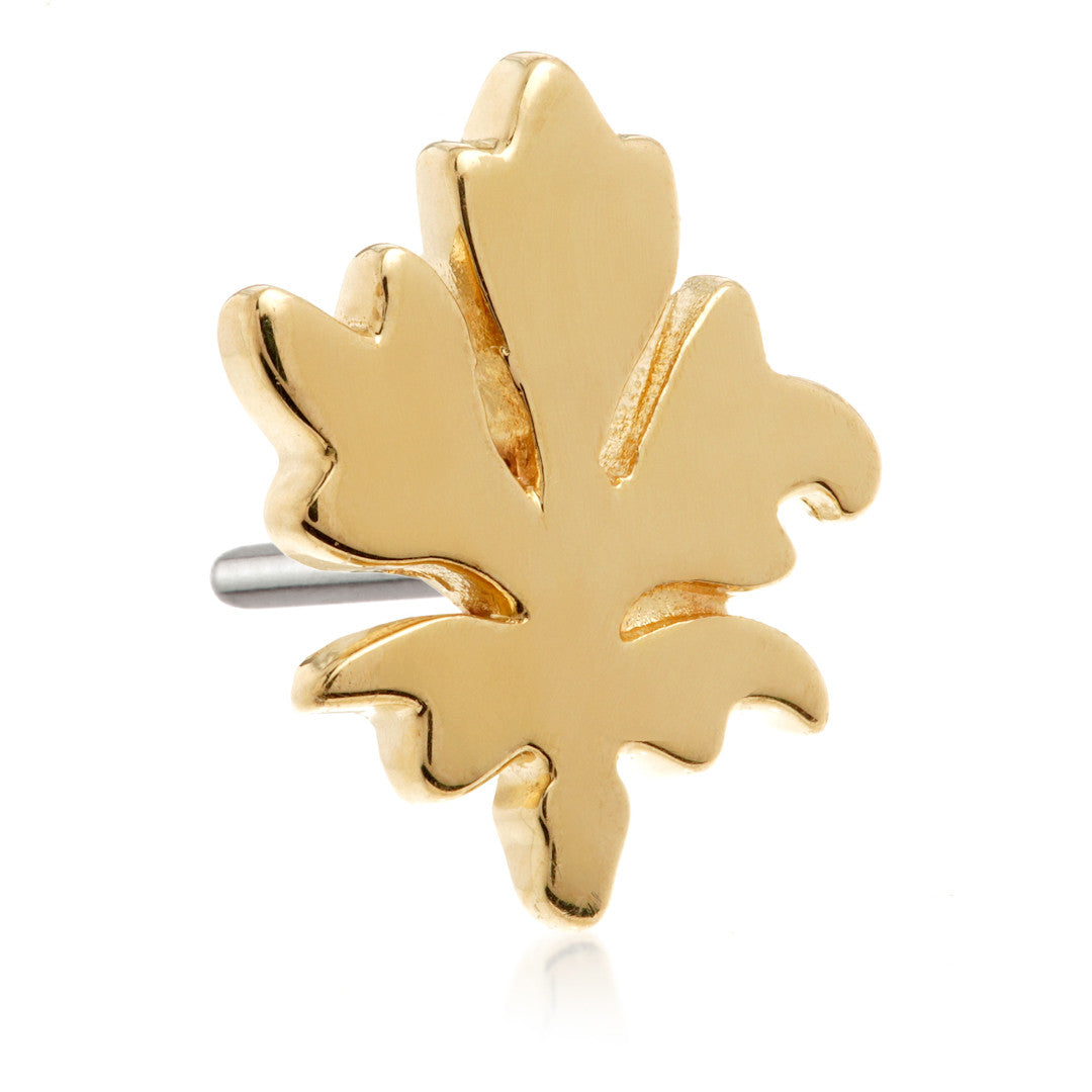 TL Alvina - 14ct Gold Threadless Attachment