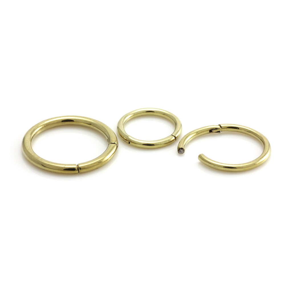 Zircon Gold Steel Hinge Segment Ring