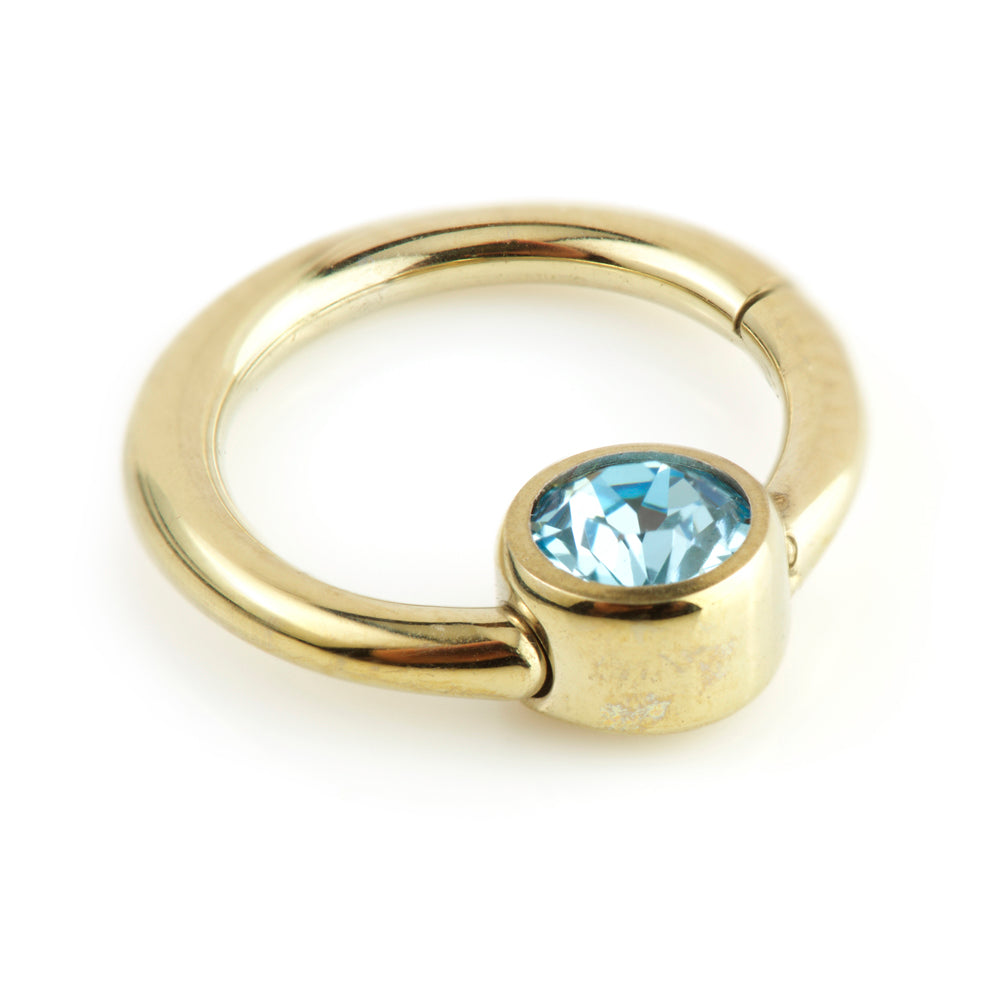 Zircon Gold Steel Hinge Segment Ring with Gem Disk