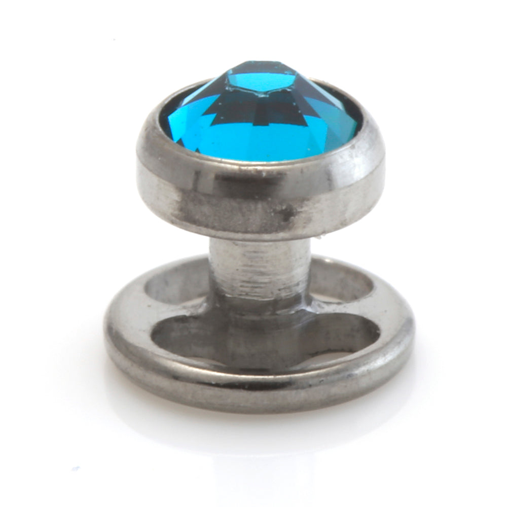 Titanium Wheel Skin Diver With Gem Disk