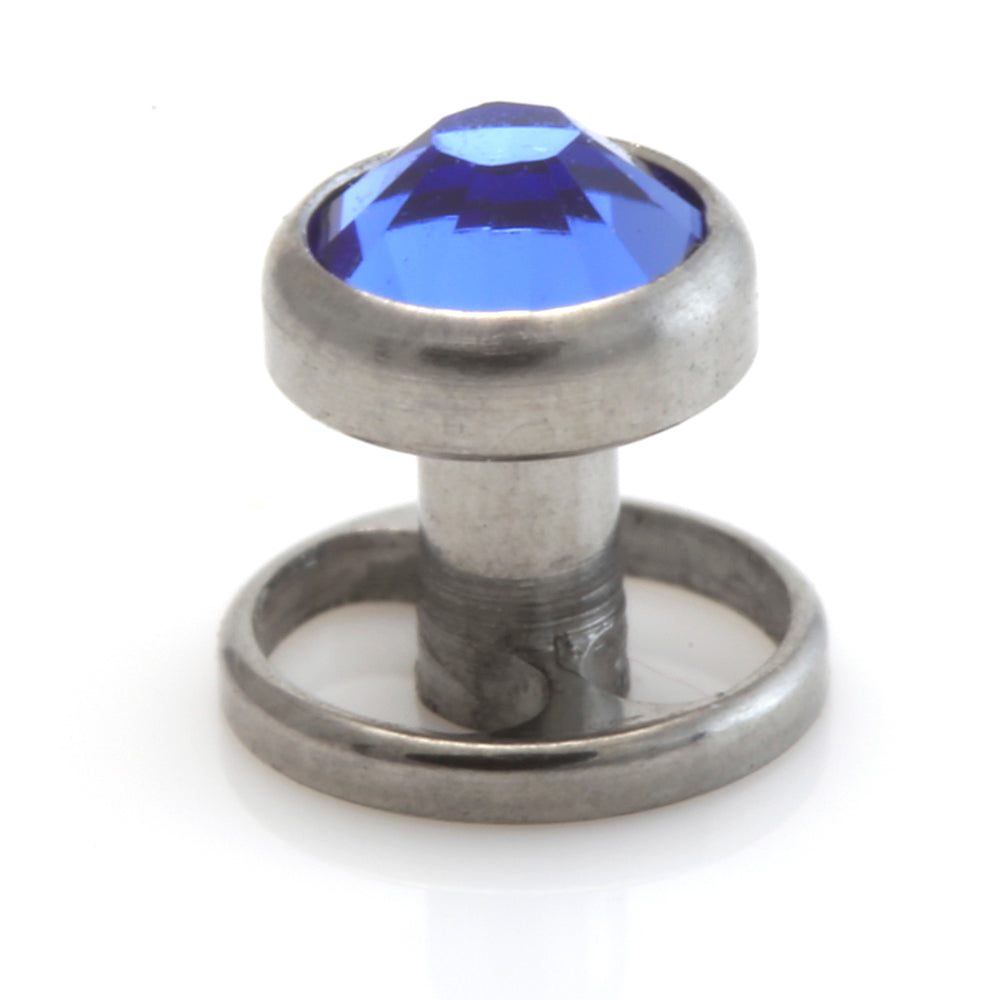 Titanium Wheel Skin Diver With Gem Disk