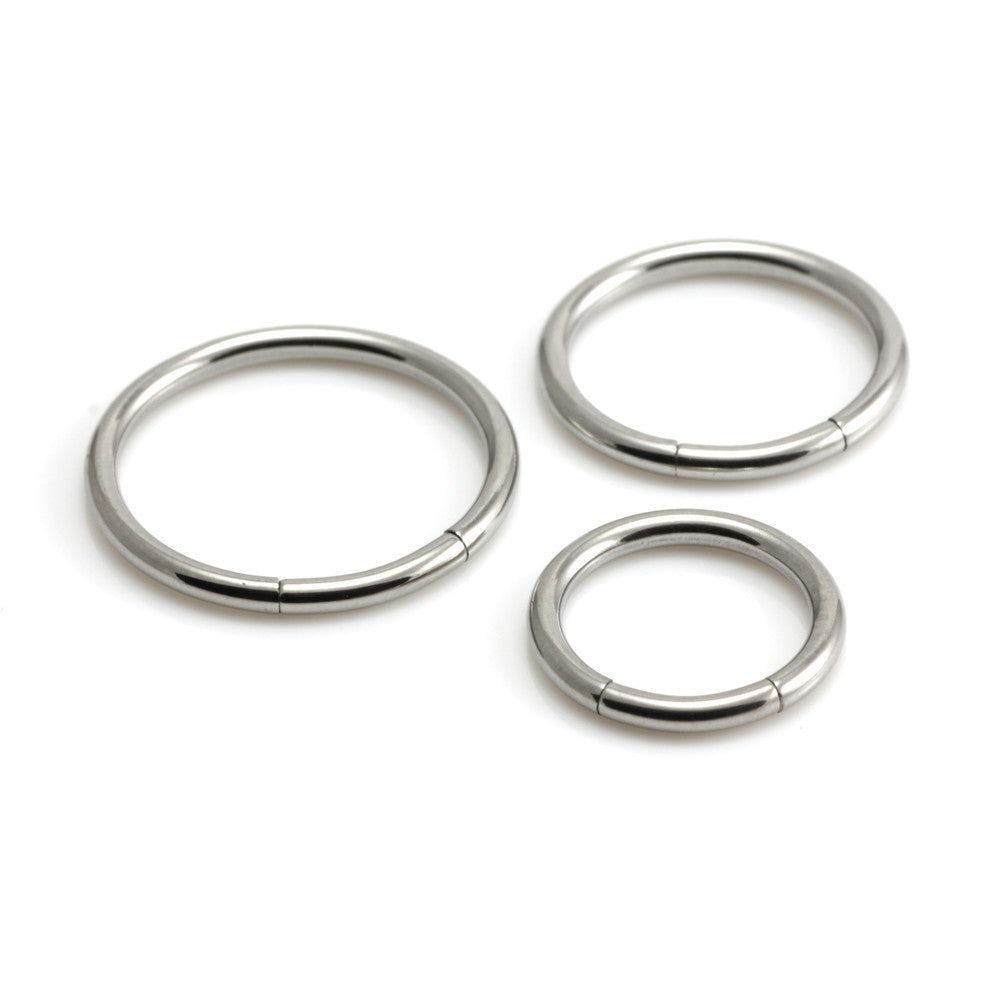 Steel Hinge Segment Ring