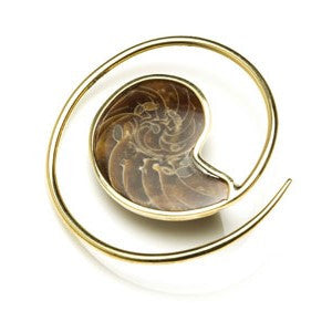 1x Brass Ammonite Ear Weight Spiral - BRSPIRAL52