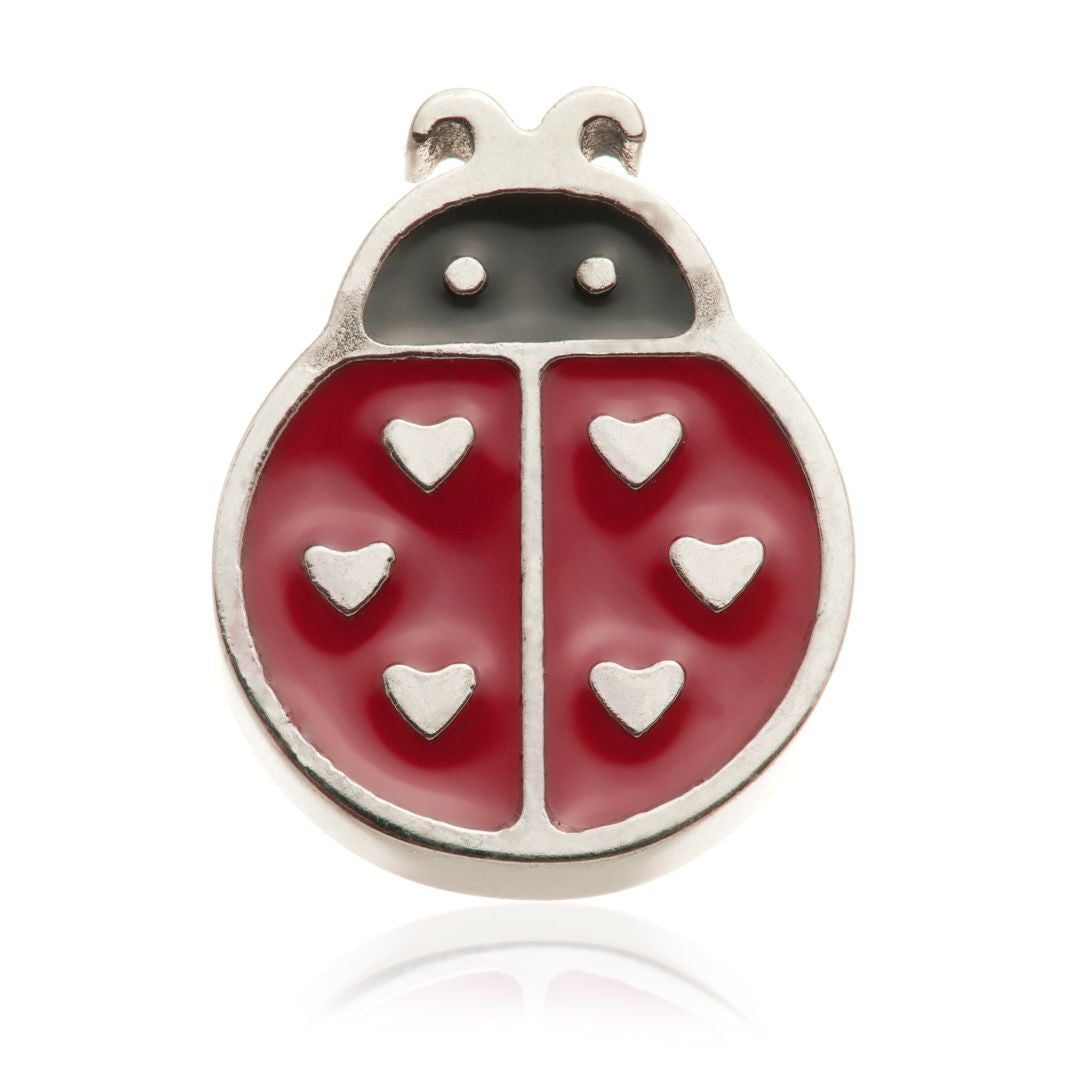 Ti Internal Enamel Ladybird Attachment