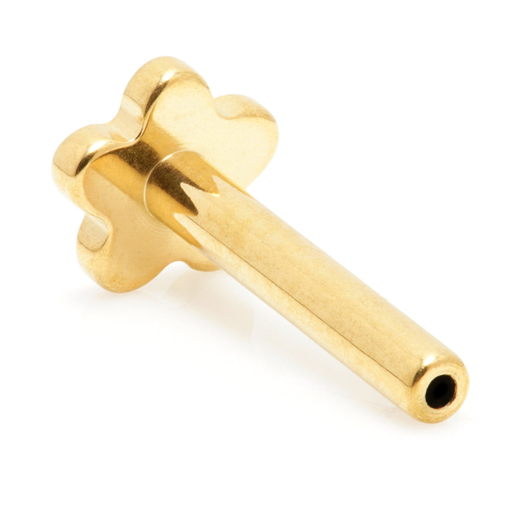 TL - Zircon Gold Ti Threadless Labret Stem with Flower Base