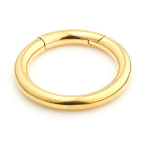 24K Gold PVD Steel Hinge Segment Ring