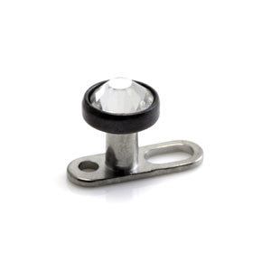 Crystal Jewel Black PVD Disk on Ti Open Anchor
