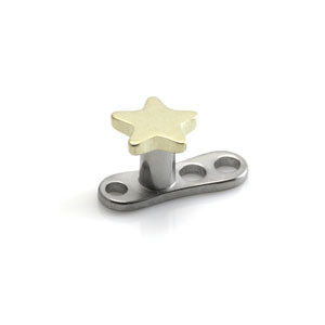 Gold PVD on Ti Star on Ti Standard Anchor