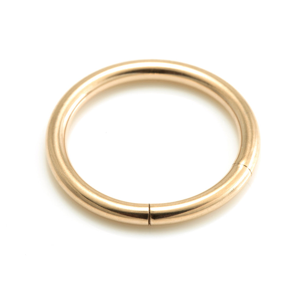 Rose Gold Steel Segment Ring