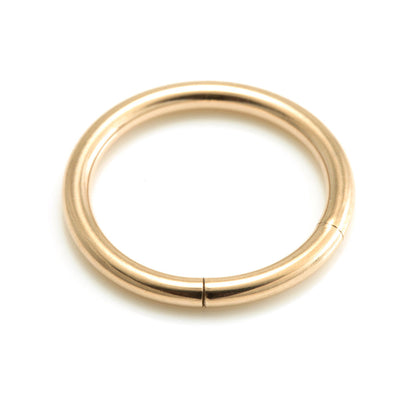 Rose Gold Steel Segment Ring