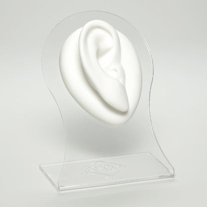 Silicone Body Part - Ear 2