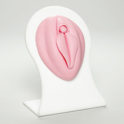 Silicone Body Part - Female Genital