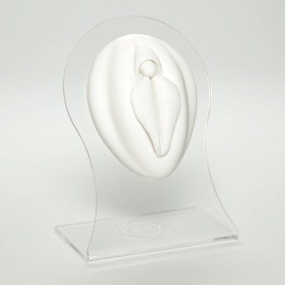 Silicone Body Part - Female Genital