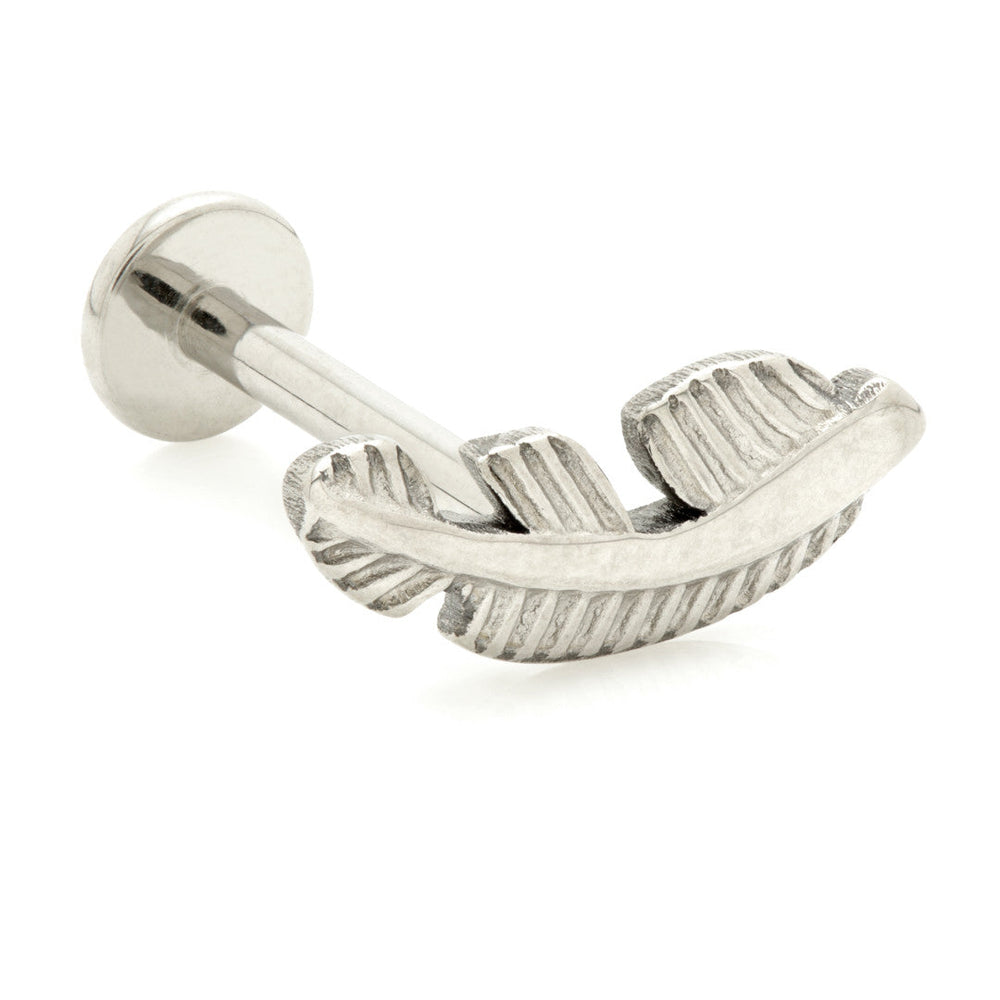 Ti Internal Labret with Feather Attachment