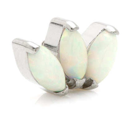 Ti Internal Triple Opal Marquise Attachment
