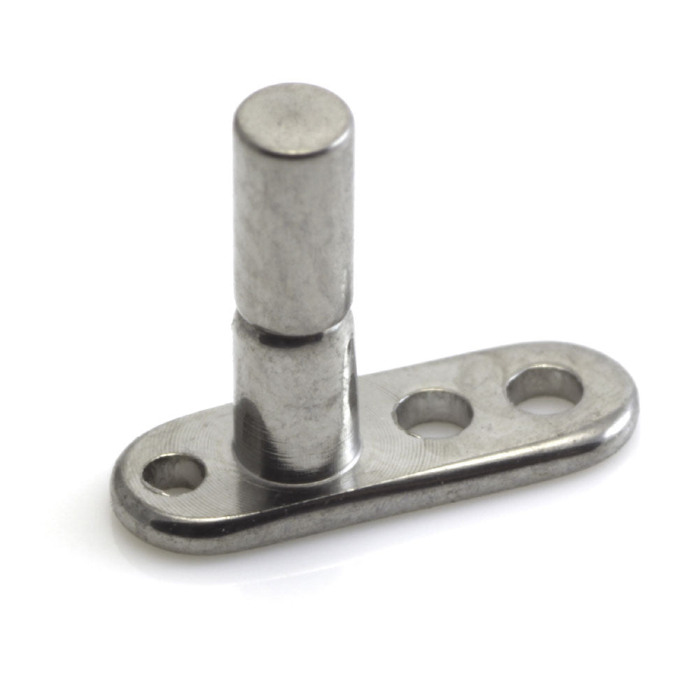 Titanium Internal Thread Anchor With Ti Healing Pin