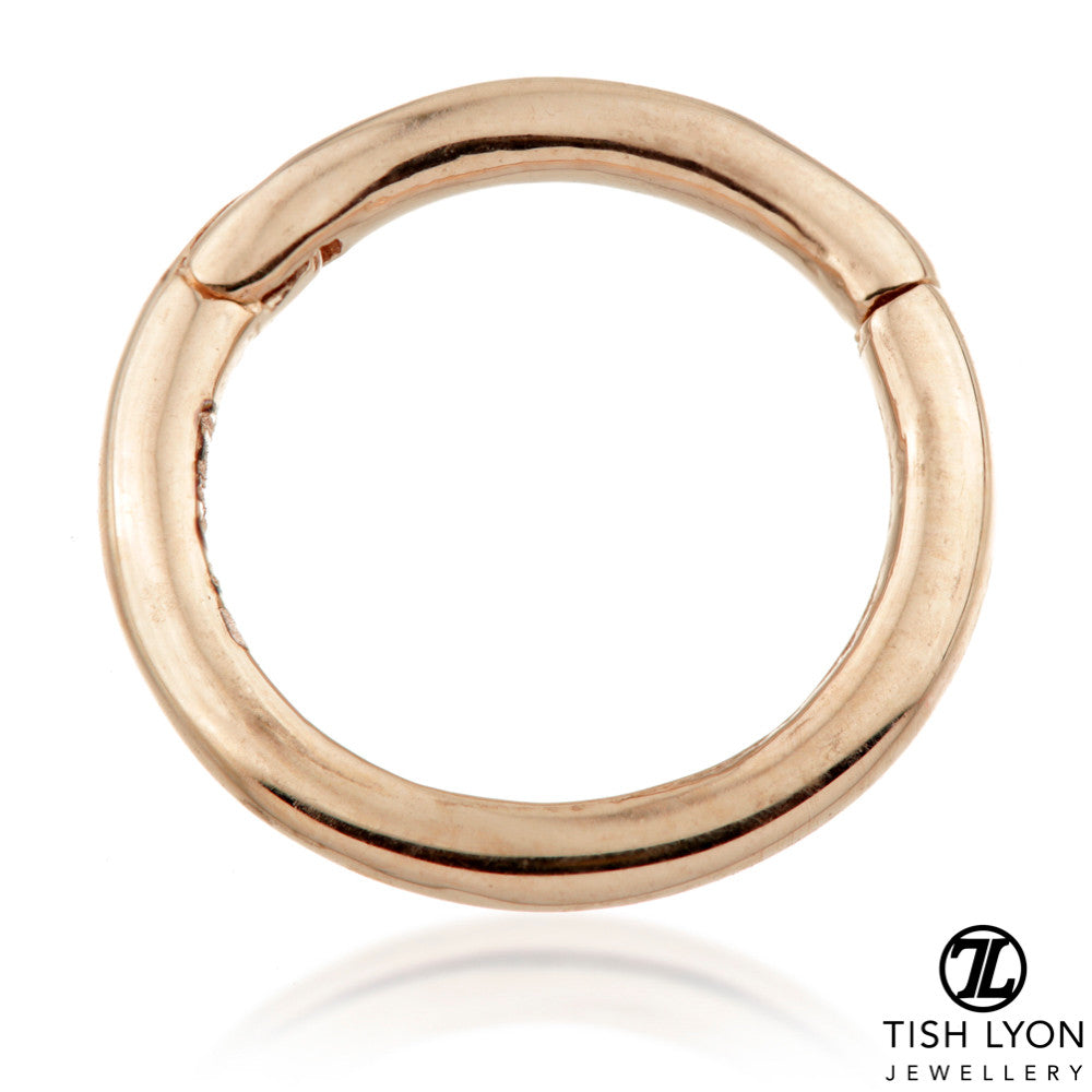 TL - 14K Gold Hinge Plain Segment Ring