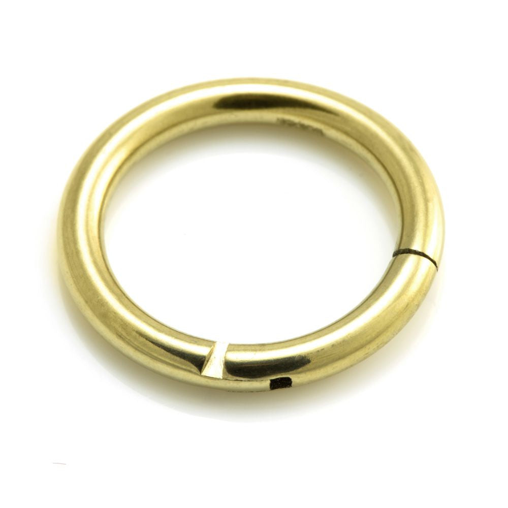 Yellow PVD Gold on Titanium Hinged Ring