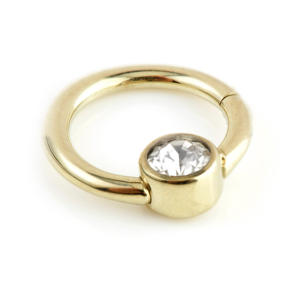 Zircon Gold PVD Ti Hinge Segment Ring with Gem