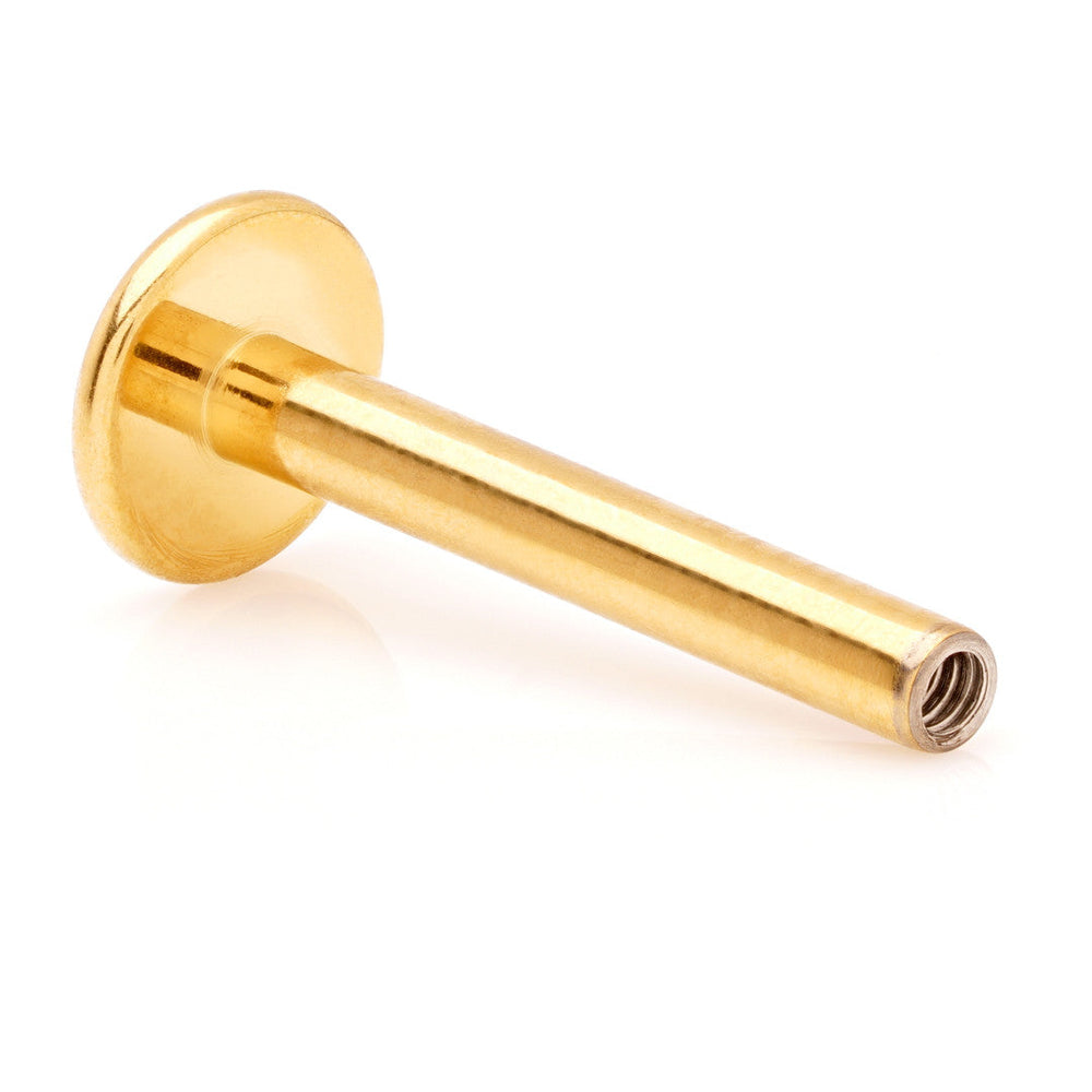 Zircon Gold Ti Internal Labret Stem