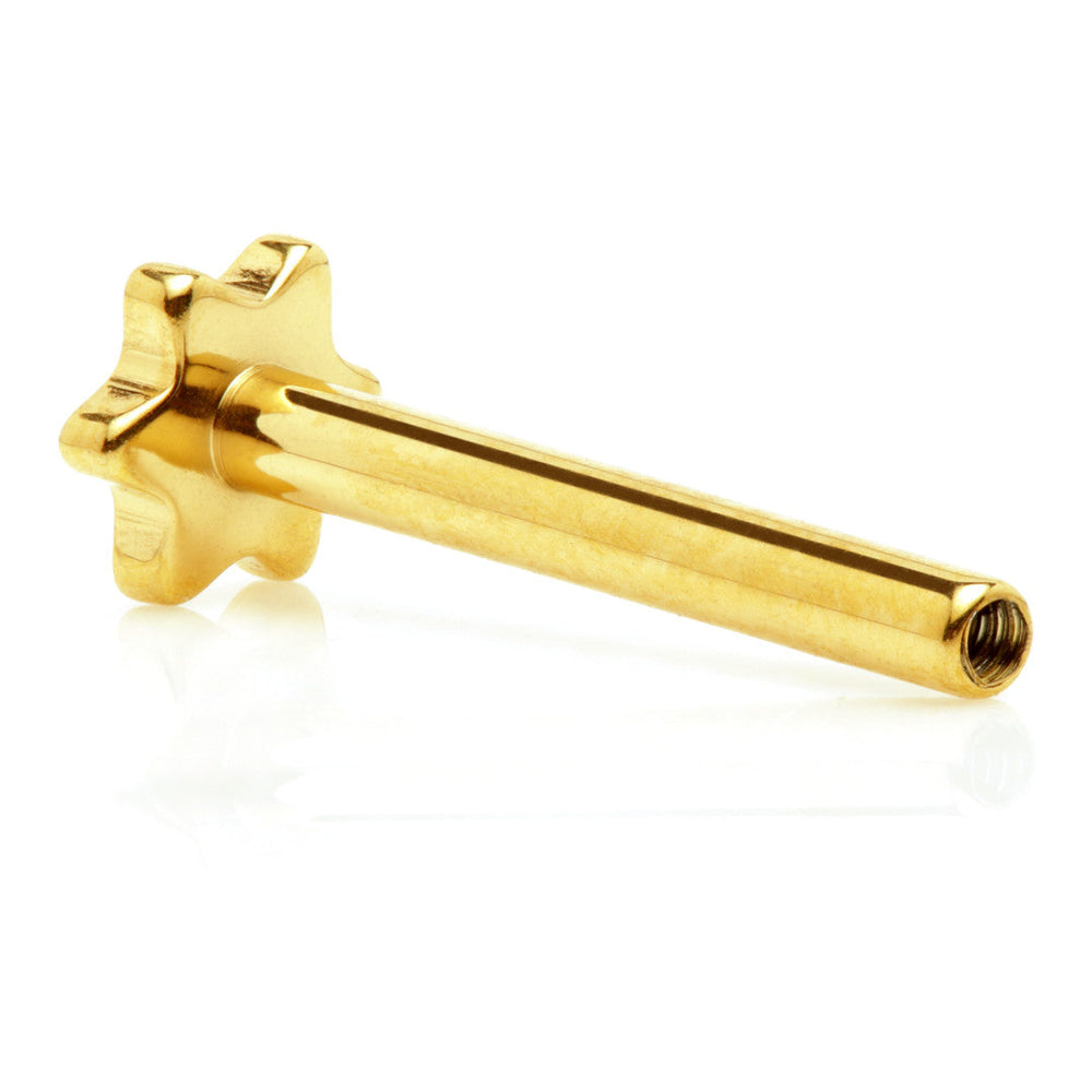 Zircon Gold Ti Internal Labret Stem with Star Base