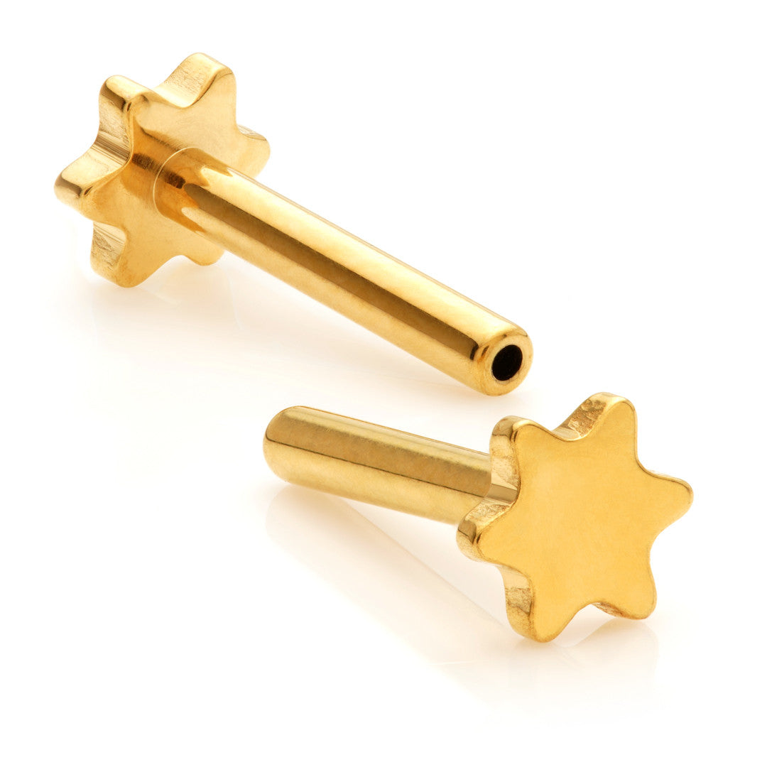 Zircon Gold Ti Threadless Labret Stem with Star Base