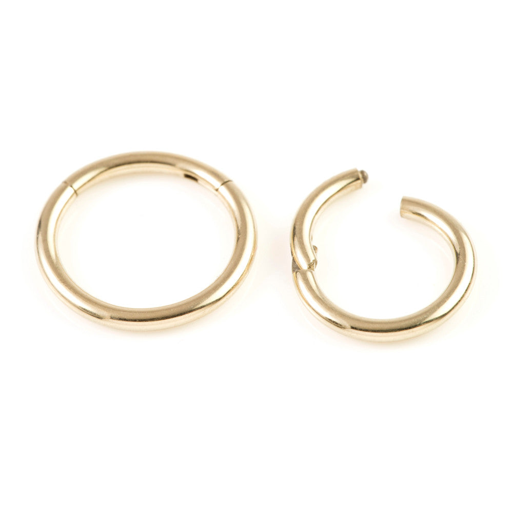 Zircon PVD Gold Ti Hinge Segment Ring