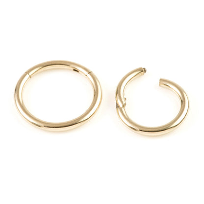 Zircon PVD Gold Ti Hinge Segment Ring