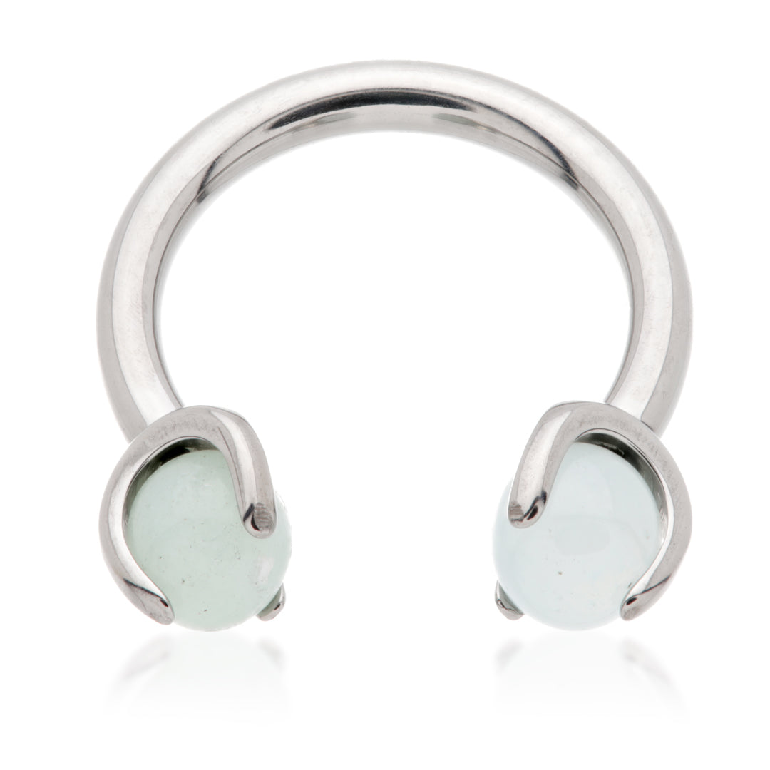 Ti Internal Circular Barbell with Double Semi Precious Stone Prong