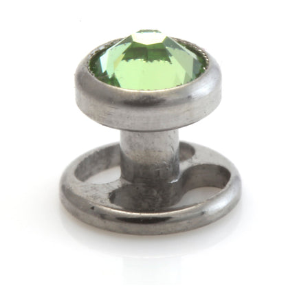 Titanium Wheel Skin Diver With Gem Disk