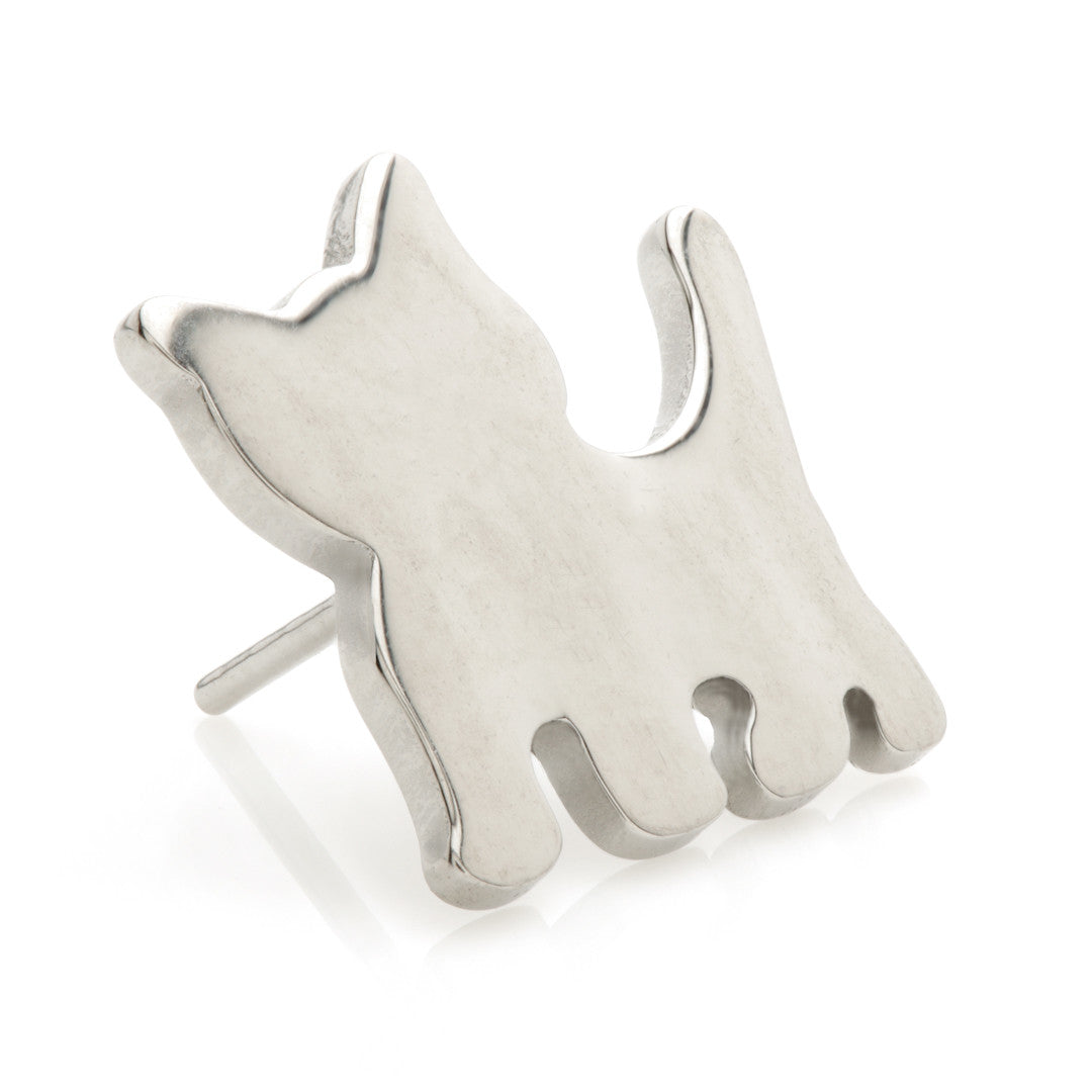 Ti Threadless Small Cat Disk Attachment