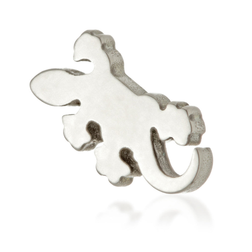 Ti Internal Lizard Attachment