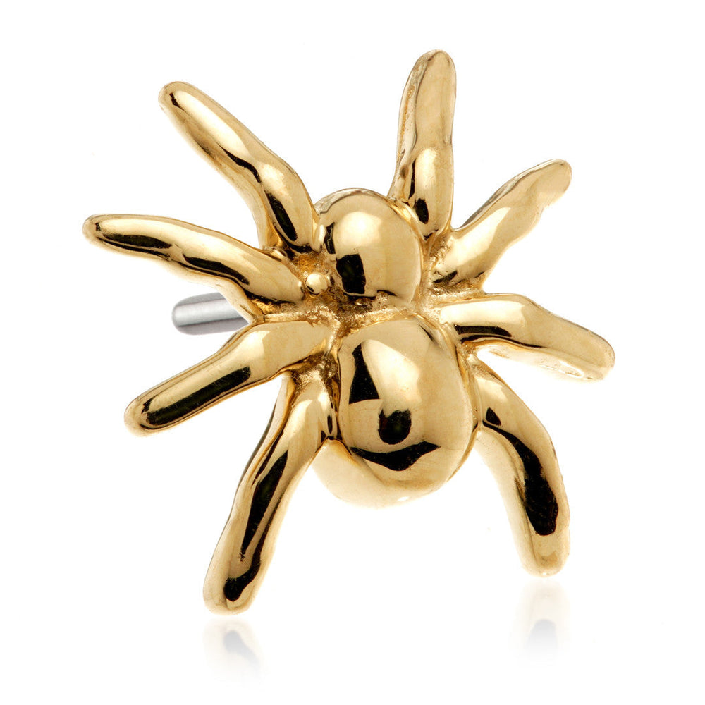 TL Golden Widow - 14ct Gold Threadless Attachment
