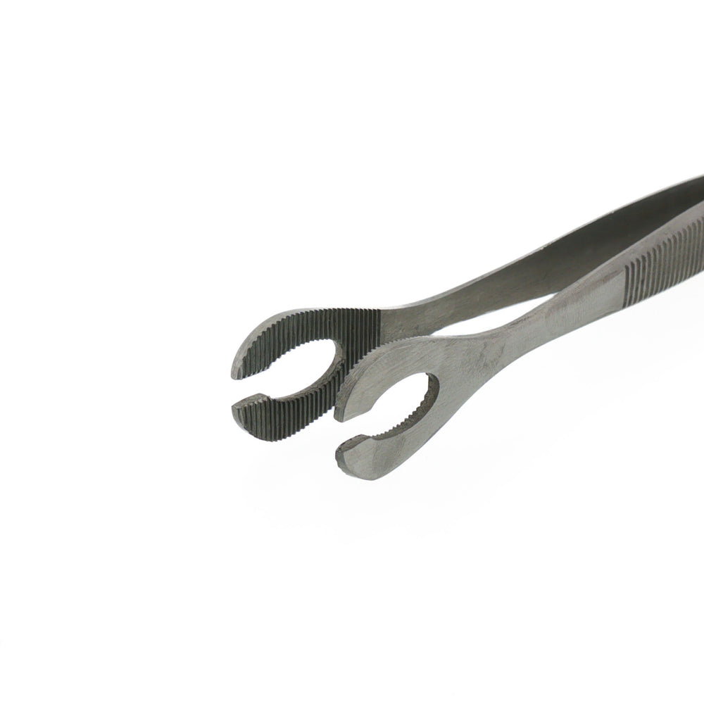 Sterilised Disposable Steel Slotted Sponge Forceps