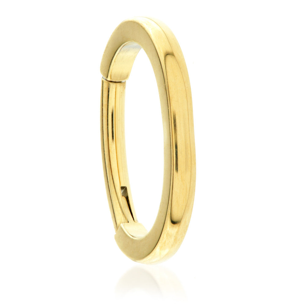 Zircon Gold Titanium Oval Plain Rook Hinged Ring