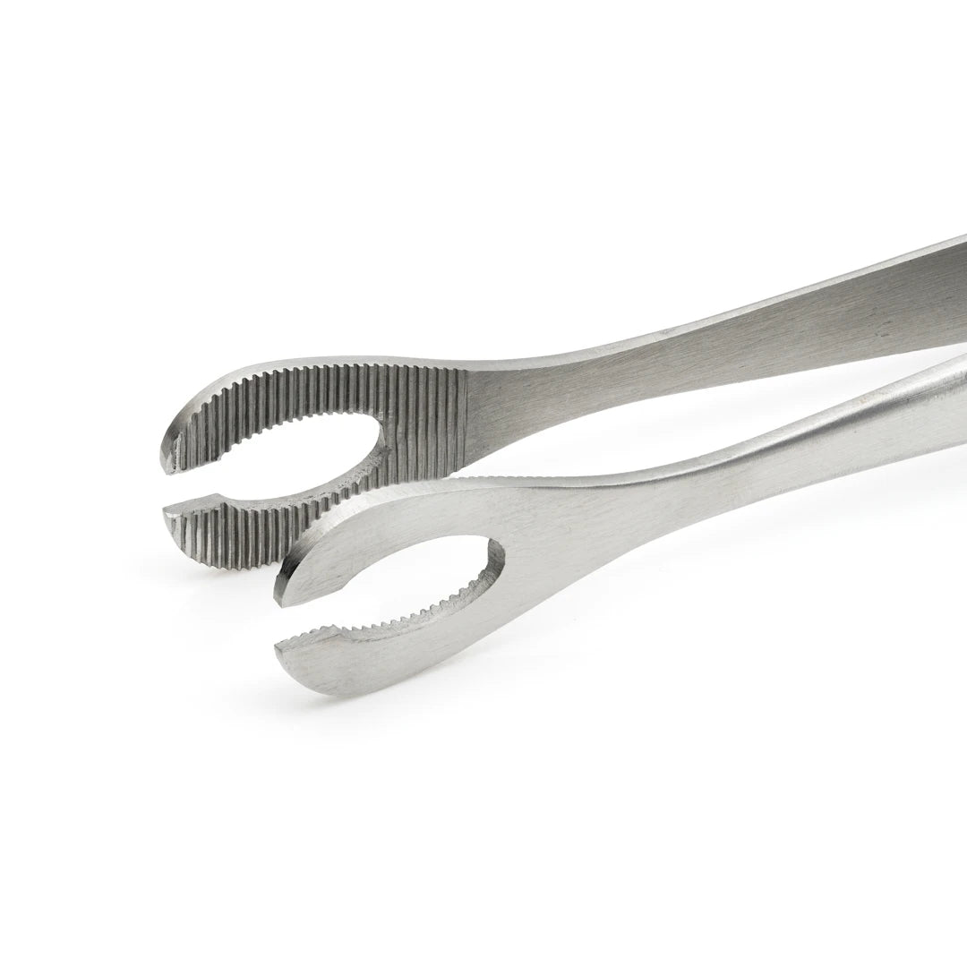 Sterilised Disposable Steel Slotted Sponge Forceps