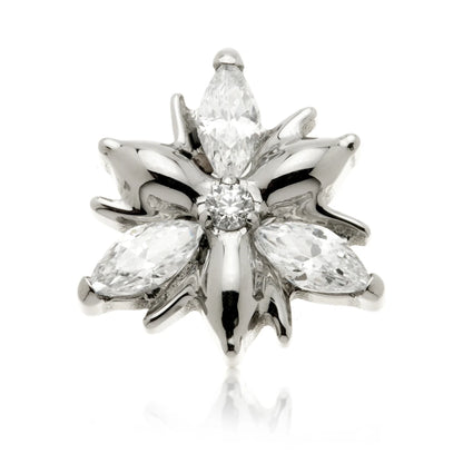 Ti Internal Jewelled Double Trinity Attachment