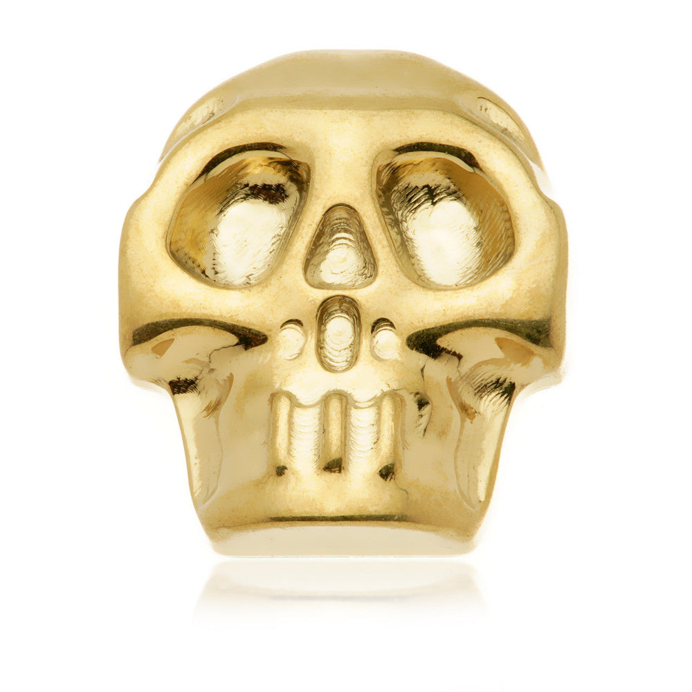 Zircon Gold Ti Internal Large Skull Attachment
