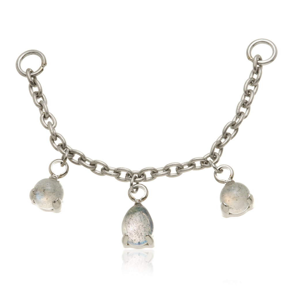 Titanium Labradorite Multi Shape Chain Attachment