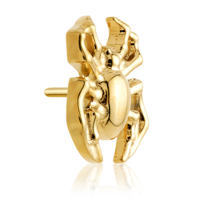 Zircon Gold Ti Threadless Spider Attachment